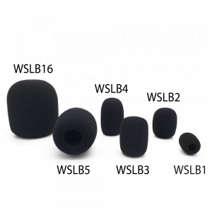 WSLB1 headset plopkap budget 